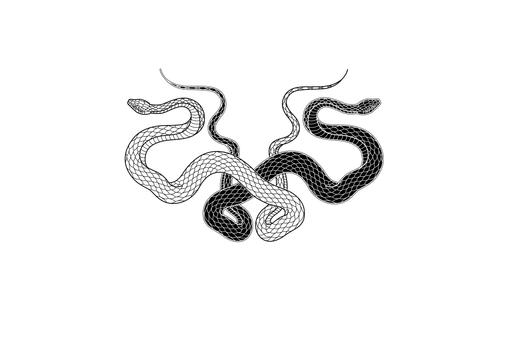 KNOSIS Logo